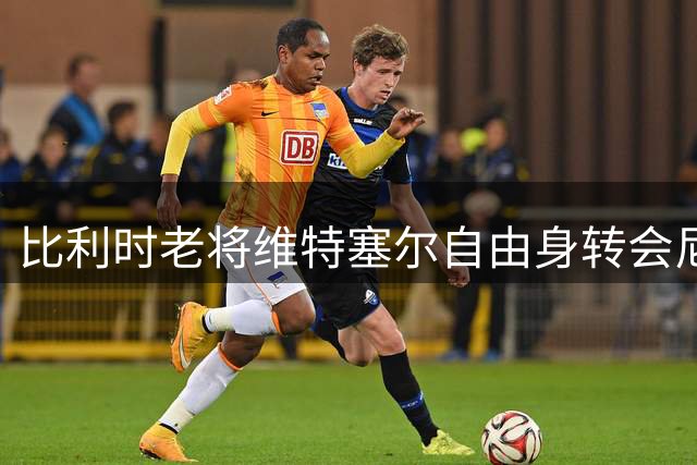 比利时老将维特塞尔自由身转会尼斯