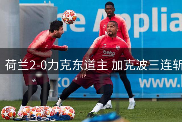 荷兰2-0力克东道主 加克波三连斩锁定小组头名